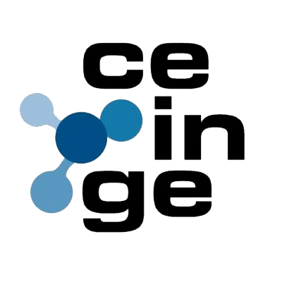 ceinge